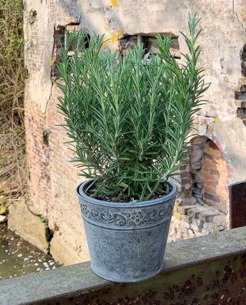 Zink Blumentopf Vintage-Stil Rund Pflanztopf Zinktopf Landhaus Grau