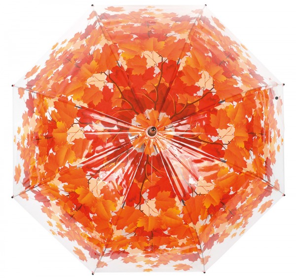 Regenschirm Blätter Herbst Laub Transparent Stockschirm Durchsichtig