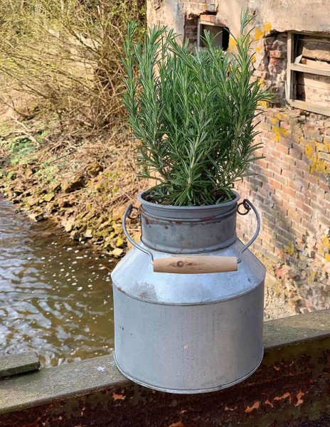 Zinkeimer Pflanzgefäß Milchkanne Pflanztopf Zink mit Henkel Vintage Pflanzgefäß 22cm