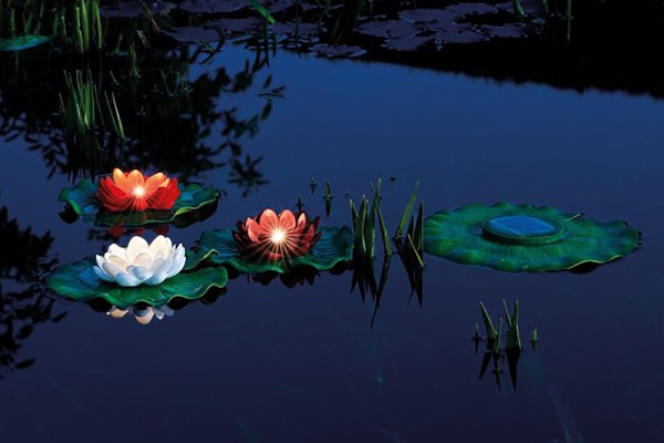 Pontec PondoSolar Lily LED Set 3 Schwimmende Seerosen Teichbeleuchtung