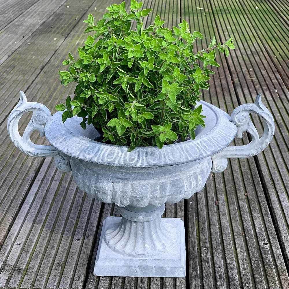 Französische Vase Gusseisen Shabby Grau Henkel Pflanztopf Amphore Antik-Stil Französische Vase Gusseisen Shabby Grau Henkel Pflanztopf Amphore Antik-Stil