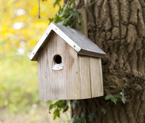 Vogelhaus für Blaumeisen Nistkasten Holz 23cm