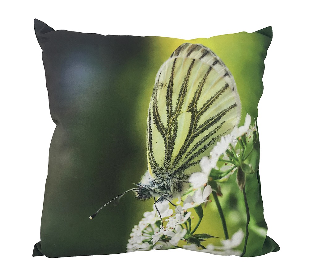 Outdoor Kissen Schmetterling Falter Gartenkissen Wasserabweisend 40x40cm