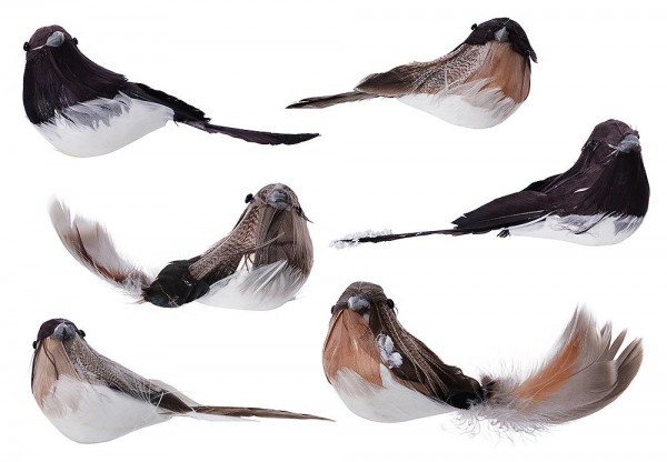 Künstliche Vögel Federschwanz Mit Klammer 6 Stück Christbaumschmuck