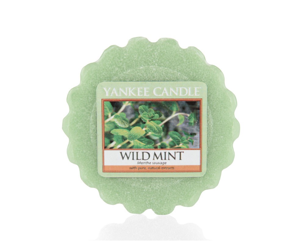 Yankee Candle Duftwachs Tart Wild Mint 22 g